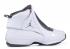 Nike Air Jordan 19 Retro Weiß Flint Grau AQ9213-100