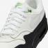 Nike Air Max 1 Chlorophyll Summit White Black FZ5160-121