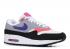 Nike Dames Air Max 1 Court Paars Roze Flash Grijs Wolf Wit 319986-114