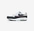 Nike Wmns Air Max 1 87 DZ2628-102 White Summit Black