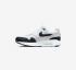 Nike Wmns Air Max 1 87 DZ2628-102 White Summit Black