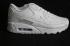 Nike Air Max 90 Classic Blanco 302519-113