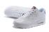 Buty Nike Air Max 90 VT USA Dzień Niepodległości Męskie Białe Kropki 472489-060
