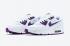 Nike Air Max 90 Color Pack Court Purple White Shoes CT1028-100