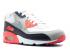 Nike Air Max 90 Gs Infrared Zn Cement Grey Light Black White 307793-110