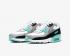 Nike Air Max 90 Leather GS White Particle Grey Hyper Turquoise Black CD6864-102