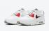 Nike Air Max 90 M2Z2 Recycled Wool Pack White Photon Dust DD0383-100