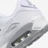 Nike Air Max 90 White Photon Dust Light Smoke Grey FN8005-100