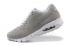 Nike Air Max 90 Current Moire Lichtgrijs Wit 344081-010