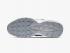 Nike Air Max 95 Footprint สีขาว Pure Platinum Smoke Grey DA4301-100