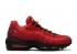 Nike Air Max 95 Habanero 紅色大學白色健身房 AT2865-600