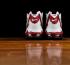 Air DT Max 96 Mid Red White Wine Essential 316408-161