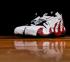 Air DT Max 96 Mid Red White Wine Essential 316408-161
