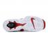 Nike Air Dt Max 96 Varsity Rojo Blanco Negro 316408-600