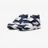 Nike Air Diamond Turf FZ8224-101