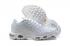 2021 Nike Air Max Plus Blanco Pure Platinum DM2362-100