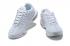 Nike Air Max Plus White Pure Platinum DM2362-100 2021 года