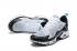 Nike Air Max 270 TN Plus 白色黑色薄荷 AT6789-007