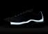 Nike Air Max Plus Blauw Fade Wit Metallic Platina Salsa Rood Concord FZ4345-100