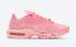 Nike Air Max Plus City Special ATL roze witte schoenen DH0155-600