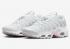 Nike Air Max Plus Pink Rise Summit Weiß Grau Nebel HF0107-100