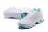 Nike Air Max Plus TN Wit Glacier Ice Beste prijs DA4287-100