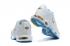 Nike Air Max Plus TN White Glacier Ice Best Price DA4287-100