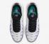 Nike Air Max Plus Branco Preto Grape Ice New Emerald DM0032-100