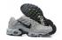 Кросівки Nike Air Max Plus Wolf Grey Black Trainers Running Shoes CU3454-002