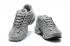 Nike Air Max Plus Wolf Gris Noir Baskets Chaussures de Course CU3454-002