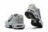 Кросівки Nike Air Max Plus Wolf Grey Black Trainers Running Shoes CU3454-002