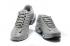 buty do biegania Nike Air Max Plus Wolf szare czarne CU3454-012