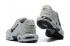 buty do biegania Nike Air Max Plus Wolf szare czarne CU3454-012