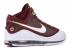 Air Max Lebron 7 CTK Oro Bianco Deep Metallic 375664-601