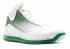 Air Max Lebron 7 More Than A Game Gold White Greg Green LA Metallic 375664-175