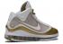 Nike Air Max Lebron 7 Qs Gs 2020 China Moon White Gold Metallic CK0719-100