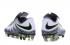 Nike Hypervenom Phantom II FG ACC Soccers Footabll Zapatos Bajo Blanco Verde Gris