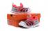 Sepatu Balita Bayi Nike Dynamo Free SE Y2K Merah Terang Abu-abu Hitam Putih 343938-630