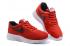 Nike Tanjun 紅黑白亮深紅色男士跑步鞋 812654-005