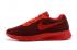 Zapatillas Nike Tanjun SE BR Hombre Running Vino Rojo 844887-666