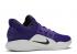 Nike Hyperdunk X Low Tb Court Violet Noir Blanc AR0463-500