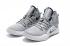 Nike Hyperdunk X EP 2018 HD Grey White AO7893-301