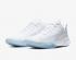 Sepatu Basket Nike Precision 4 White Ice Clear Pure Platinum CK1069-100