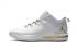 Nike Air Jordan CP3 X Elite Chaussures de basket-ball pour hommes Gris clair Or 897507-100