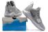 Nike Zoom PG 1 Paul George Sepatu Basket Pria Silver Grey All White 878628
