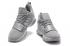 Мужские баскетбольные кроссовки Nike Zoom PG 1 Paul George серебристо-серого цвета, все белые 878628