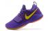 Nike Zoom PG 1 Les Lakers violet Chaussures de basket-ball pour hommes 878628-007