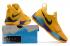 Sepatu Basket Pria Nike Zoom PG 1 Kuning Biru 878628-004