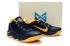 Nike Paul George PG2 Pánské basketbalové boty Black Yellow 878628