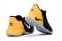 Мужские баскетбольные кроссовки Nike Paul George PG2 Черный Желтый Серый 878628